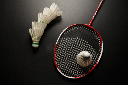 过去灰熊阵 过去灰熊阵