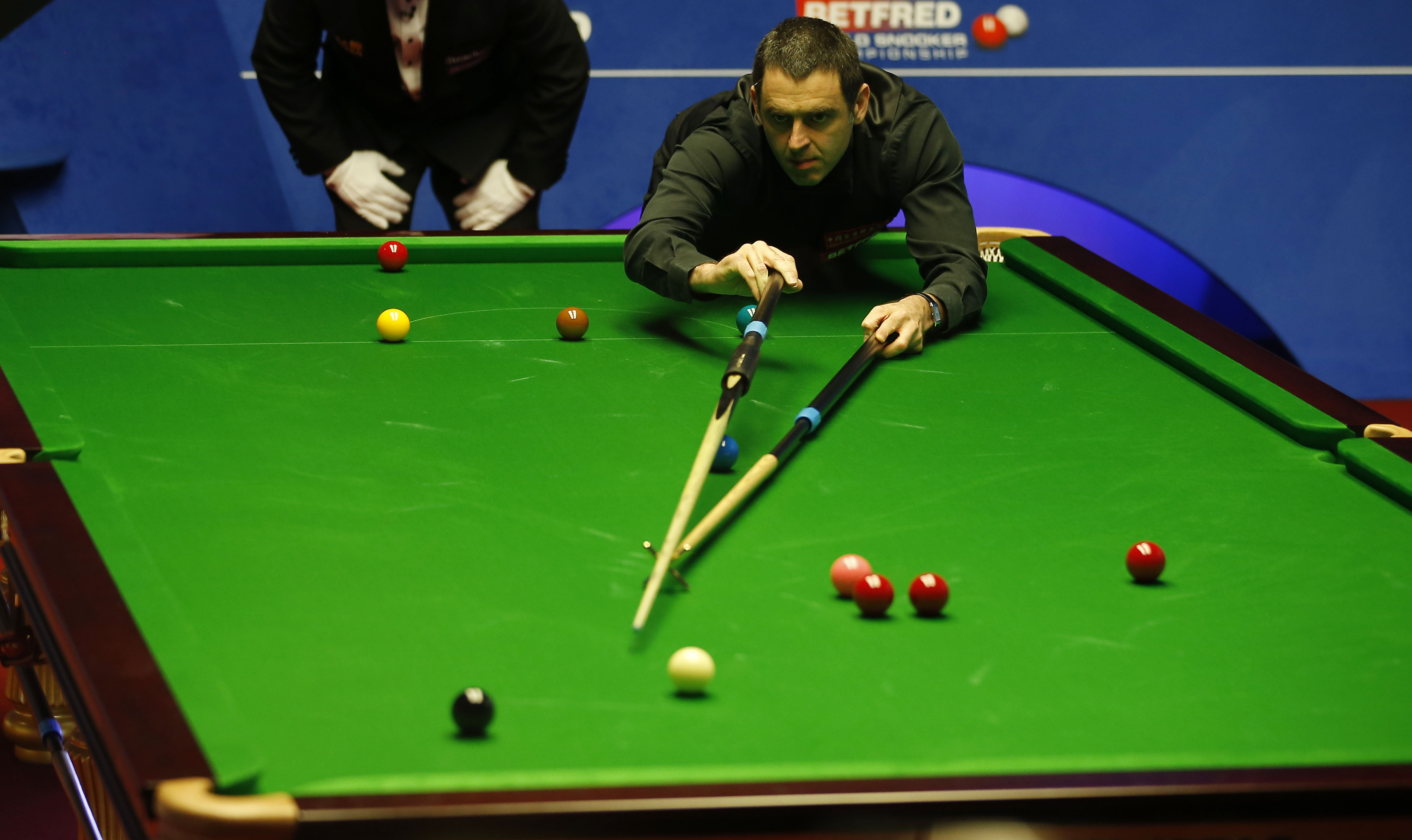 向格外引人 向格外引人